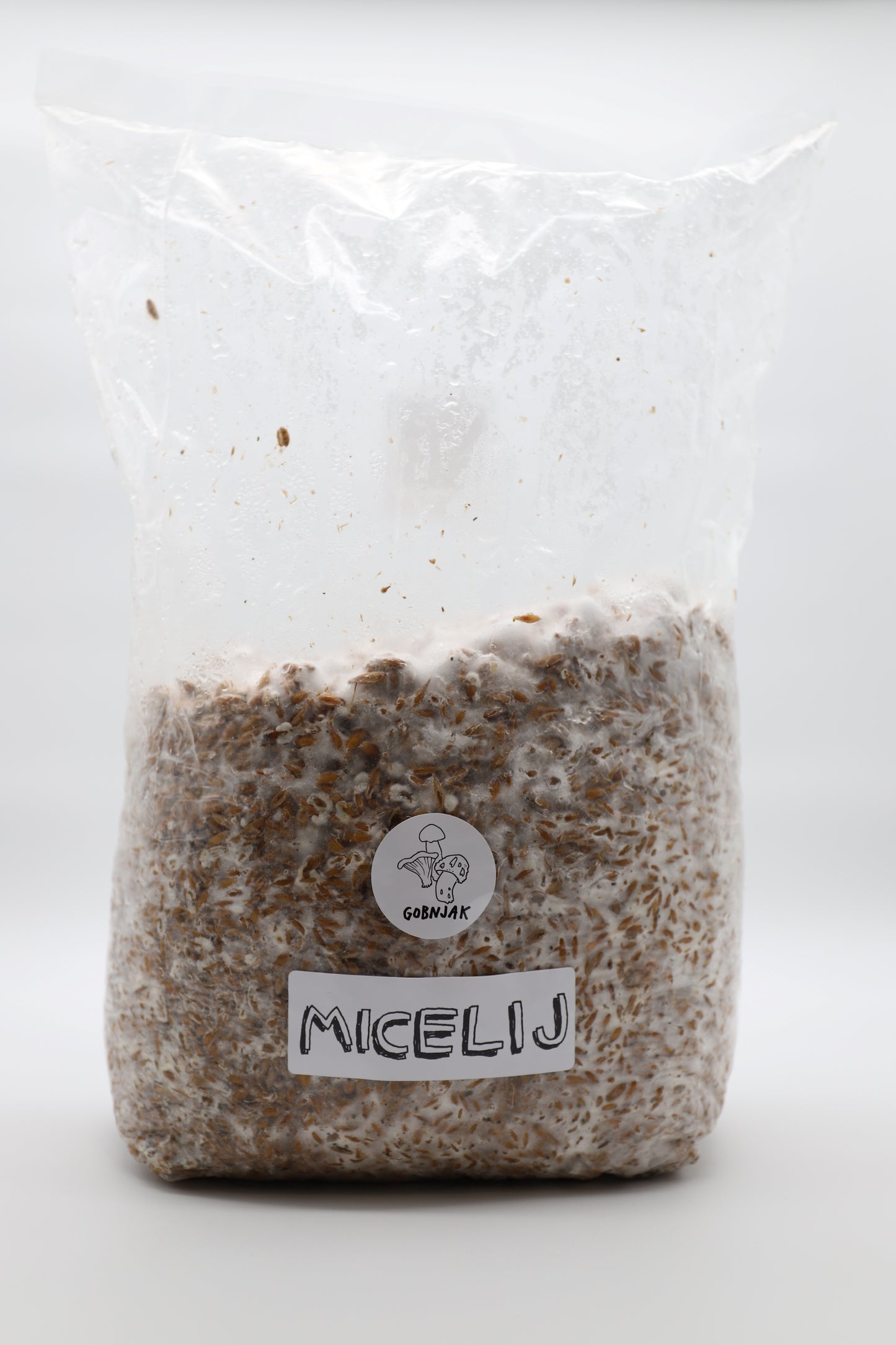 Micelij na žitu - Gobnjak