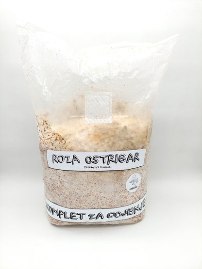 Komplet za gojenje - Roza ostrigar - Gobnjak