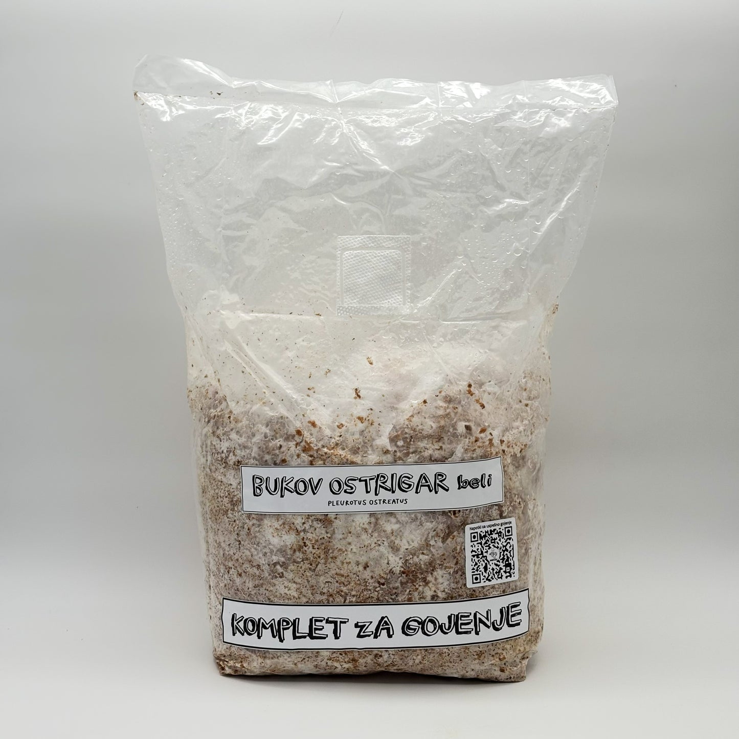 komplet za gojenje, beli bukov ostrigar, gojenje gob, mushroom cultuivation, oyster mushrooms, white oyster, statini, samooskrba