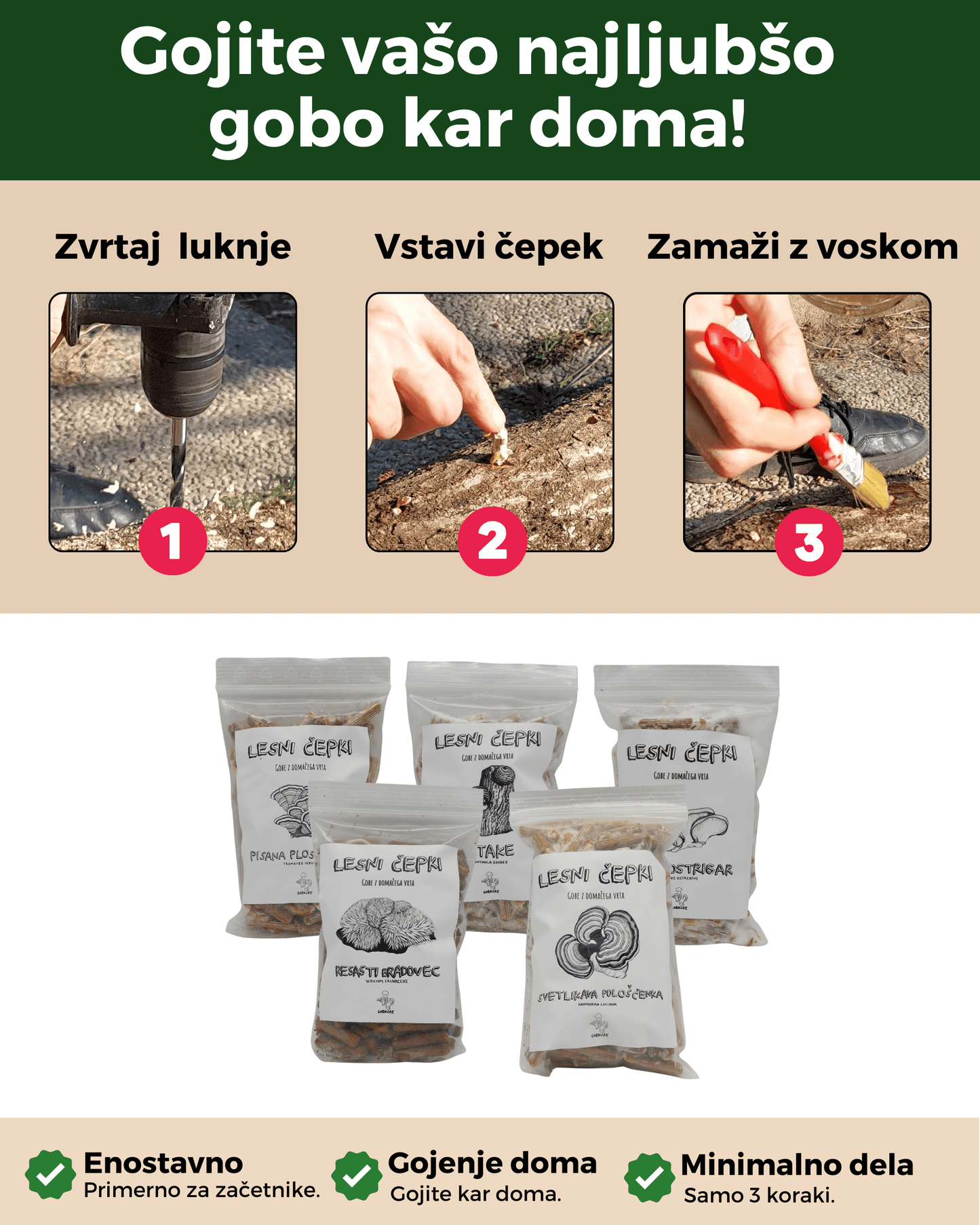 Micelij na lesnih čepkih - Gobnjak