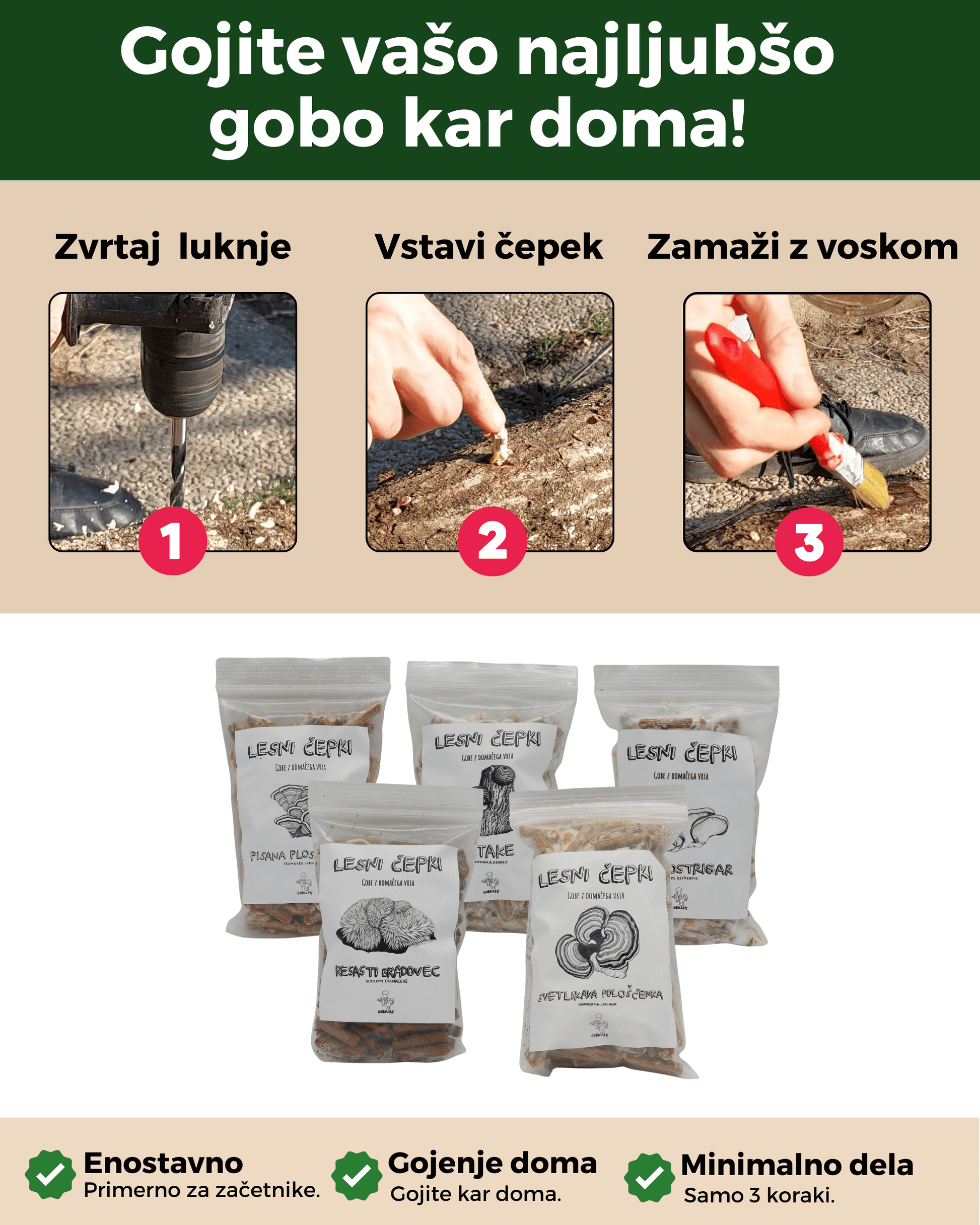 Micelij na lesnih čepkih - Gobnjak