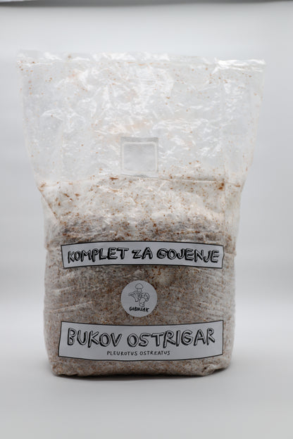 Komplet za gojenje - Bukov ostrigar - Gobnjak