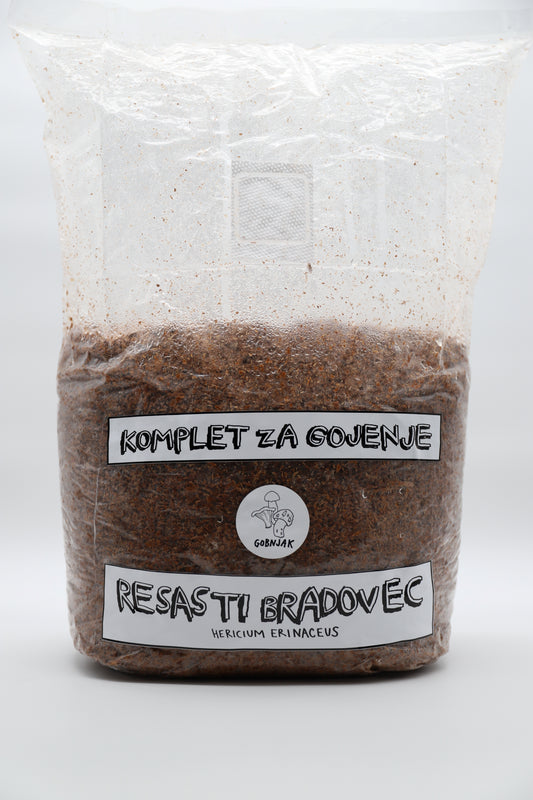 Komplet za gojenje - Resasti bradovec - Gobnjak